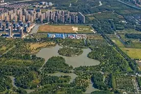 进博会来了！第四站：九亭，这份松江游玩攻略请收好→图片