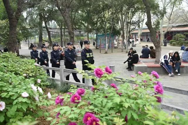 护航牡丹文化节丨黑的白的红的黄的紫的绿的蓝的