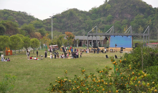 南丰：蜜桔飘香迎客来 “桔文旅”持续升温