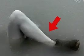 湖泊惊现"人腿"！男子冒险施救，真相比湖水更寒心…图片