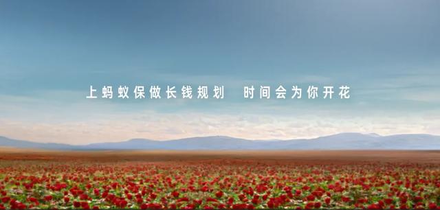 蚂蚁保 × 刘亦菲：用一朵玫瑰的时间，读懂“长钱规划”的浪漫