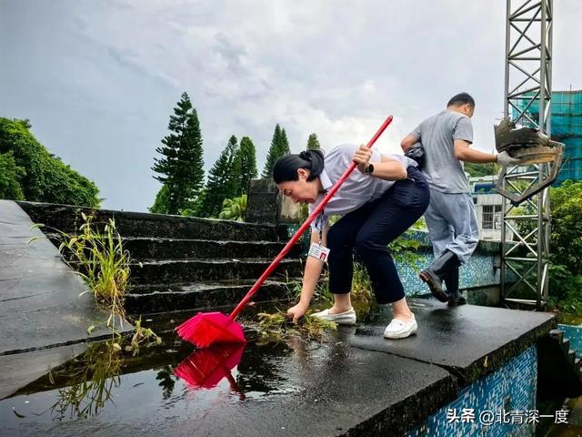 佛山与蚊子缠斗的一个月