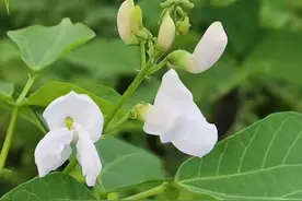 正高级职称评审到场答辩需要注意什么?图片