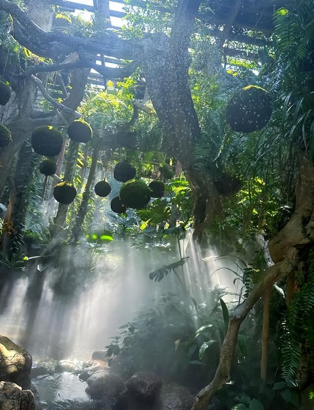 青秀山风景区介绍！南宁5A级仙境隐藏玩法，私藏路线大公开！