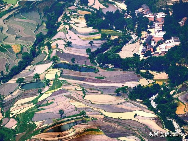 秋色正斑斓！信阳赏秋打卡地推荐