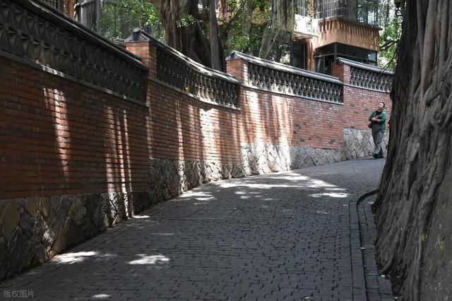 原来海边城市可以这么安静！福州：满城榕树下，藏着最真实的闽都