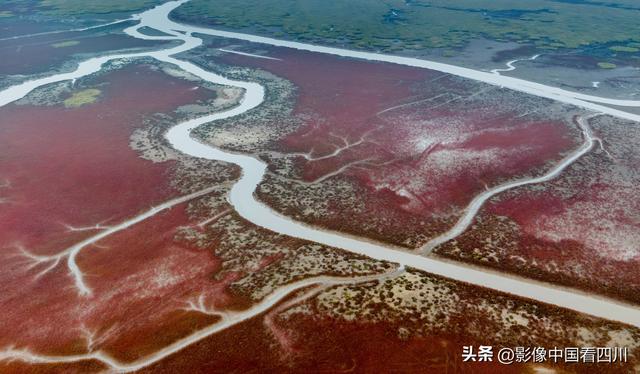 辽宁盘锦：红海滩国家廊道日出美景如画