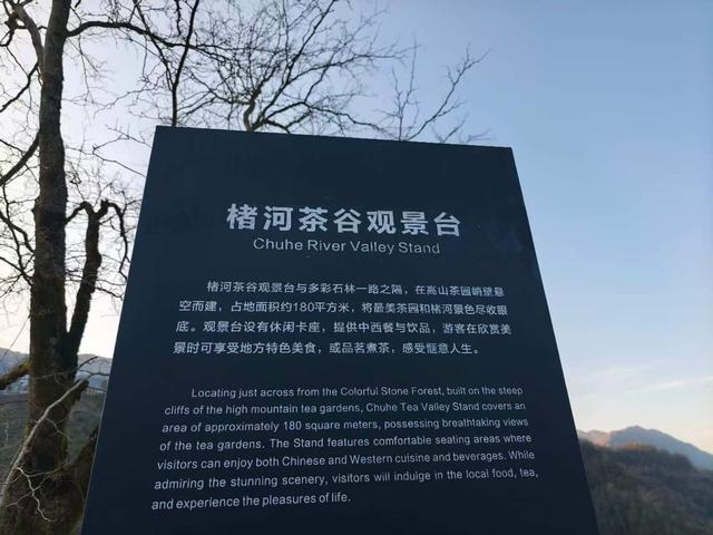 茶山深处的“诗与远方”！镇巴楮溪源茶公园的“美丽经济学”