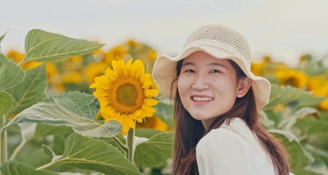 秋光初染葵海