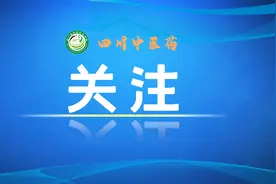 四川日报报业集团党委书记、董事长陈岚：做中华文化传承发展的用心挖掘者、创新表达者、现代传播者图片