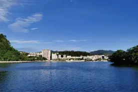 学思想、强党性、重实践、建新功丨云城区“破难题、促发展”攻坚行动取得阶段性成效侧记图片