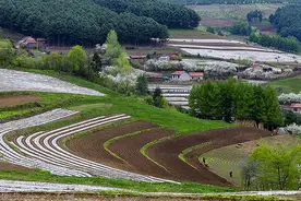 临江市松岭雪村：绘就美丽和谐乡村画卷图片