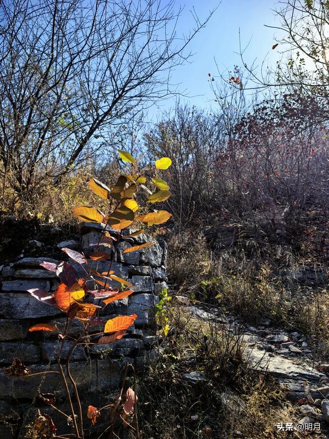 大岭，一个小众却超级美丽的地方