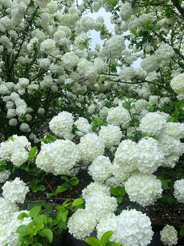 春假6天，不出门