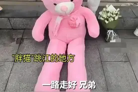 发文洗白？"胖猫"跳江事件新后续：女主发长文回应，评论区沦陷了图片