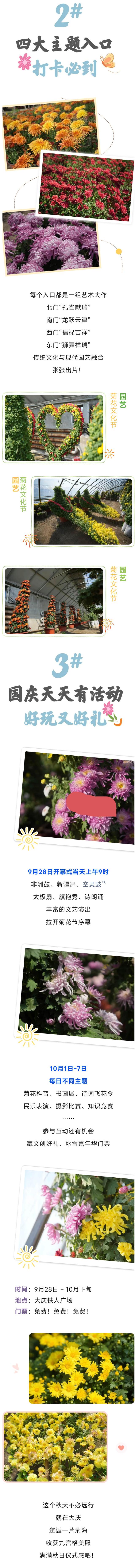 13万株秋菊花开等你 ！大庆铁人广场菊花节28日浪漫开启~