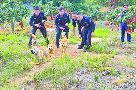 萌犬变猛犬！“小狗汪汪队”养成记图片