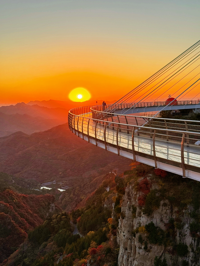 听说，山东的山最近变得「毛茸茸」？