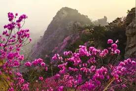 2025年五一放假安排！青岛第一波活动来啦图片