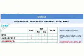 你的征信报告长这样？教你看懂+快速查询！图片