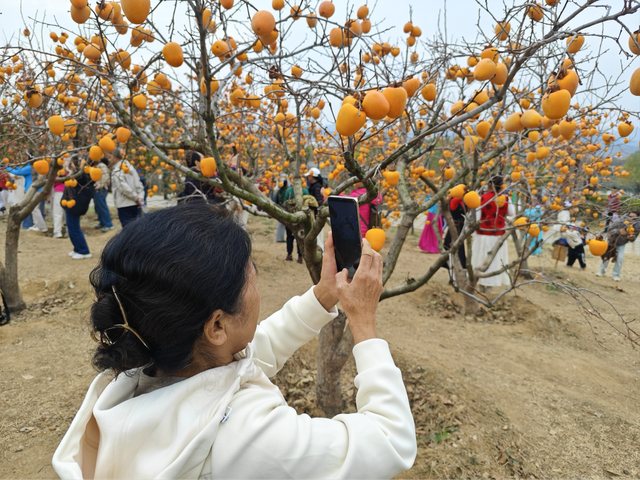 沙子口街道大河东村双拥公园：秋意浓，文明美，共赴一场秋日之约
