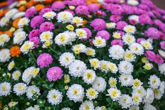 走，去趵突泉！收集秋天最靓的九宫格～