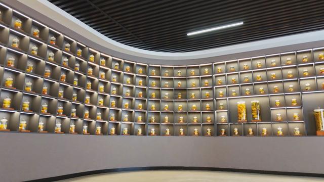 中国柿博物馆：解锁柿文化的密码