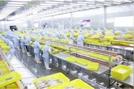 拼多多“商家权益保护委员会”推出惠商新举措，新质供给助外贸工厂成功转内销图片