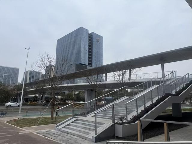 一文“速通”！2026大良迎春花市嘉年华便民攻略来了