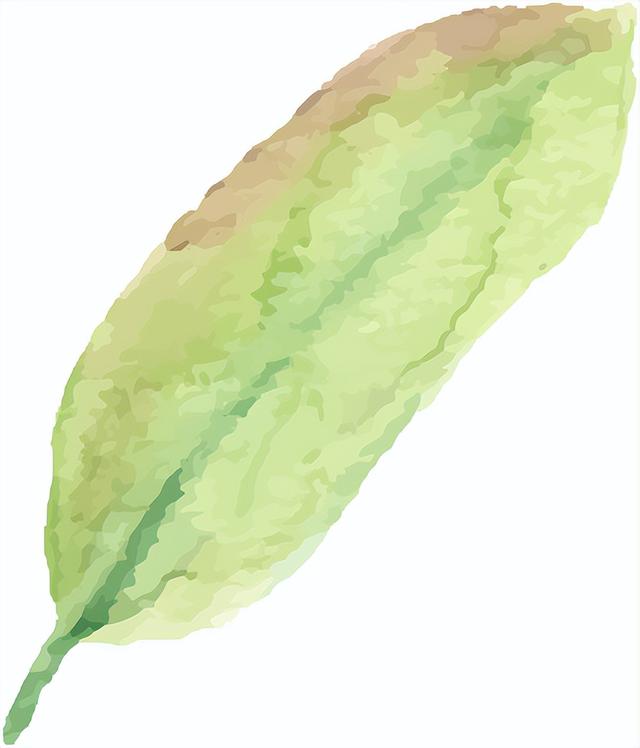 一园月季韵，满城春日情｜中国月季园月季文化系列活动重磅登场