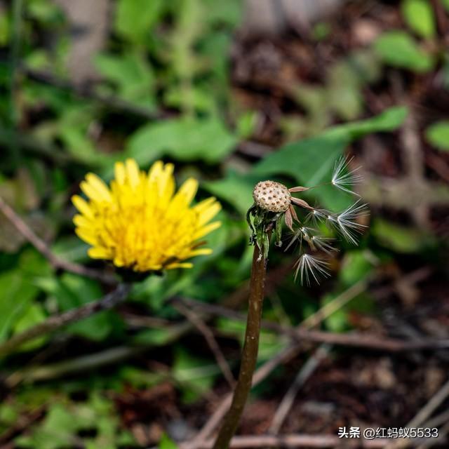 清明风暖，踏青寻芳，春光正好，莫负这人间四月天。