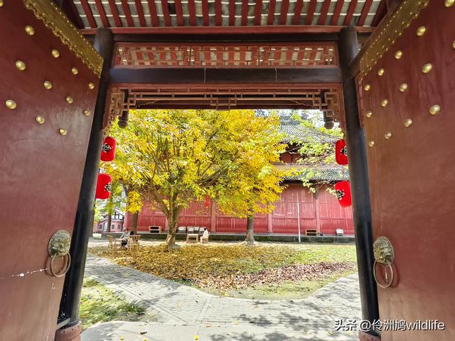 成都古镇（14）郫县唐昌古镇文庙、翰林府&美食