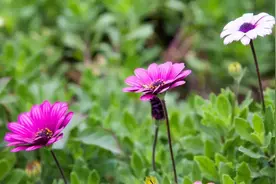 为什么旅游时，最好不要发朋友圈？这样“显摆”的后果很严重图片