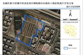 最新 | 天津这个地块拟征收！成片开发方案公示！图片