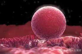 再好的胚胎内膜难以着床！80%不明原因种植失败都是因为这个问题图片