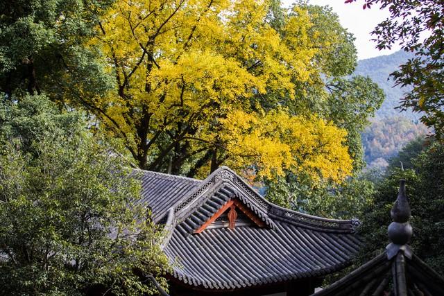 寻幽韬光寺：我在这座人迹罕至的古刹，遇见了杭州最禅意的秋天