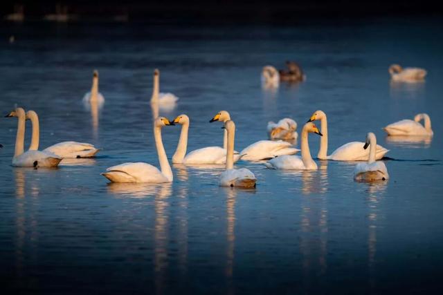 很多人没去过！渭南氛围感拉满的4个秘境