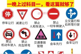 驾考科目一，一晚上轻松搞定图片