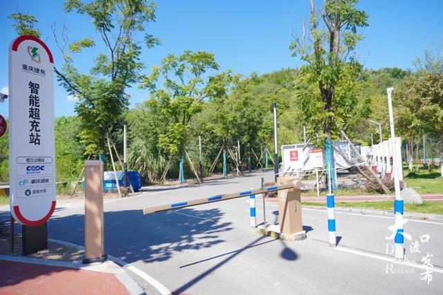 重阳去哪玩?收好大渡口份赏秋打卡好去处