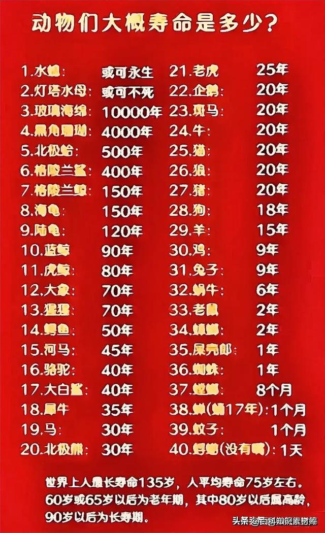 出生年月五行自查表，太实用了，收藏起来看一看！