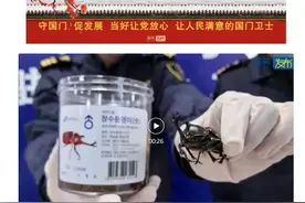 威海海关查获一只体长约10厘米“独角仙”图片