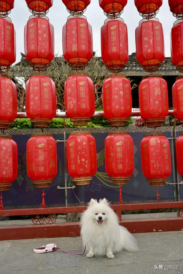 【跟着旅徒游广西】之四十一:南宁|相思小镇