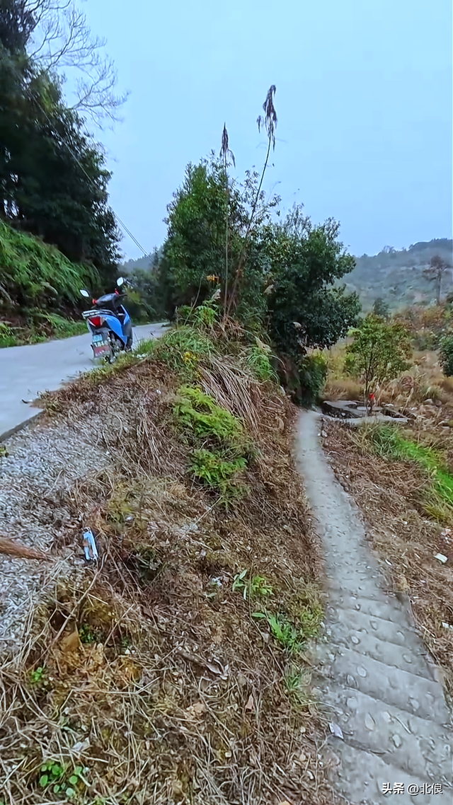 都留村竟存在两种不同的泉水。第一集：都留村的优质软水