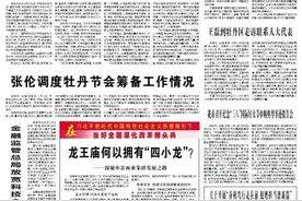 菏泽日报头版：龙王庙镇何以拥有“四小龙”？图片