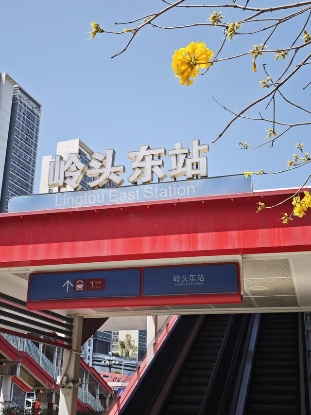 藏在广州的“小新西兰”：水声水库环湖秘境，5公里治愈徒步路线