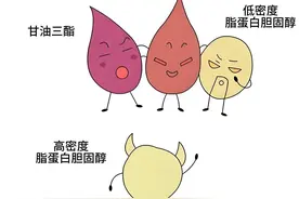 拿到“血脂四项”化验单，结果怎么看？图片