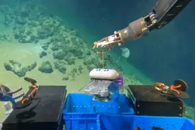 7家深海机器人曝光！谁能成为下一个核心龙头？图片