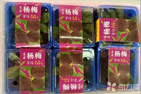 云南杨梅联袂早春红玉 苏州市民提前品鲜夏季果味图片