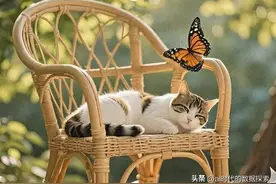 手把手ai生成视频教程，豆包+即梦+剪映王炸组合！视频效果感人！图片