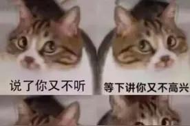 表情包丨给我老实点图片